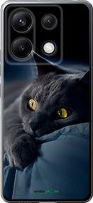 Чохол на Xiaomi Poco X6 Димчастий кіт "825u-3678-2448"