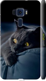 Чохол на Asus Zenfone 3 ZE520KL Димчастий кіт "825m-449-2448"