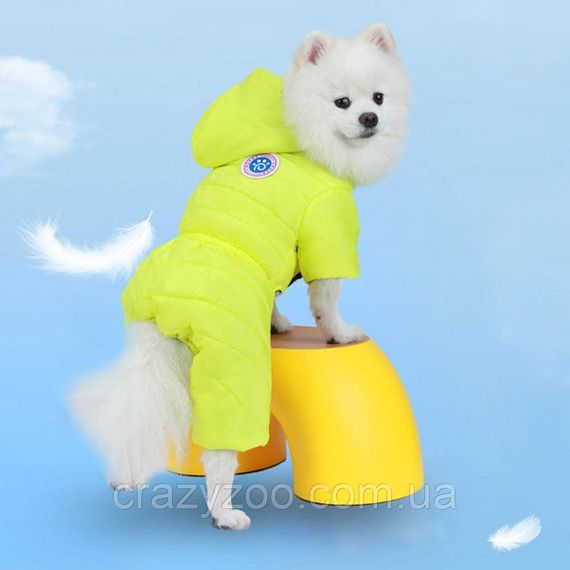 Комбинезон для собак и котов EcoToys Lemon S лимонный A: 24 см B: 32 см C: 28 см 6988 | Зображення 2