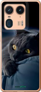 Чохол на Motorola Edge 50 Ultra Димчастий кіт "825u-3760-2448"
