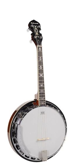 Банджо Richwood RMB-904-SS