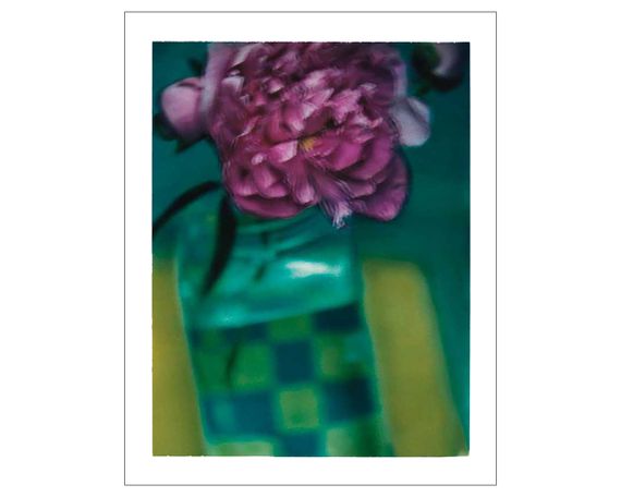 Книга фотоальбом відомих фотографів Сара Мун Sarah Moon: From One Season to Another (Signed) з афтографом | Зображення 4