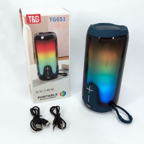 Портативна колонка з Bluetooth TG651, Потужна переносна акустична колонка, WE-291 Акумуляторна переносна