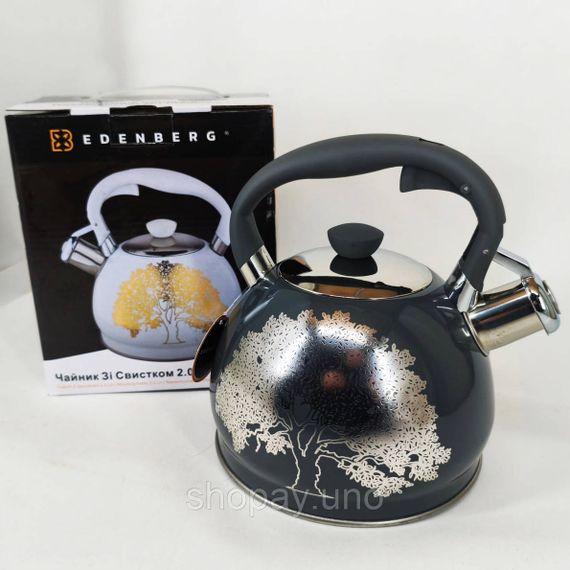 Чайник із свистком Edenberg EB-1956 2л чайник із нержавіючої сталі для всіх видів плит Black Silver | Зображення 1