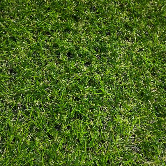 Искусственная трава MoonGrass 20 мм. | Зображення 1