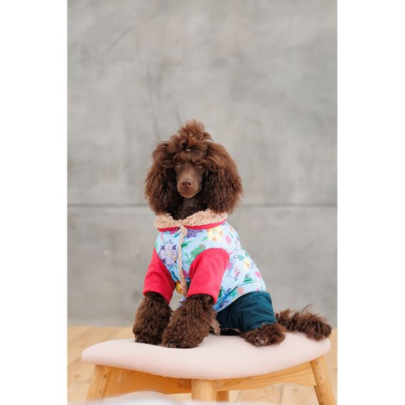 Костюм дівчинка Alisa XS для собак | Зображення 5