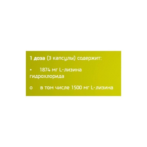 Лізин для спорту BioTechUSA L-Lysine 500 mg 90 Caps | Зображення 1