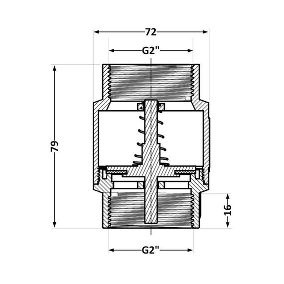 Зворотний клапан Thermo Alliance Standart 2" ВВ з латунним штоком TAS240W50 | Зображення 1