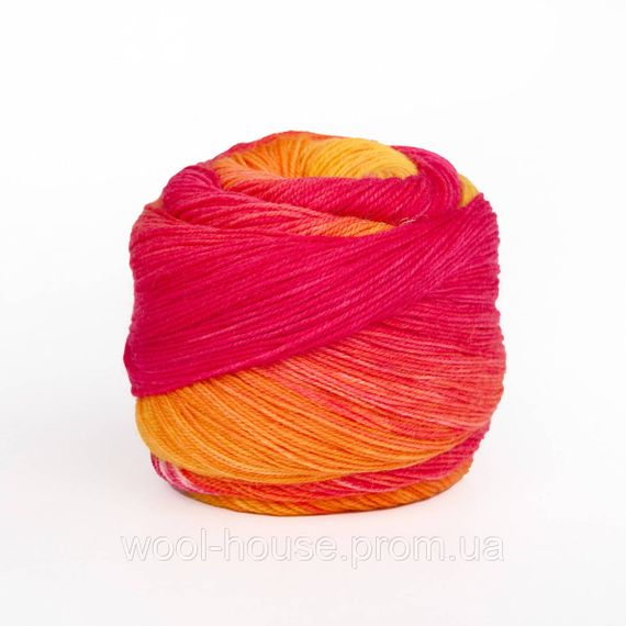Шкарпеткова пряжа Laines du Nord Watercolor Sock, 202 | Зображення 1
