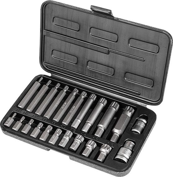 Набір біт Spline Richmann 22 шт S2 М4-М18 (C6938)