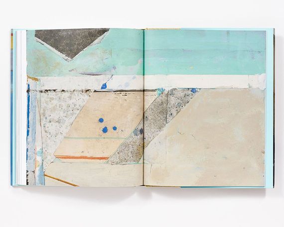 Книга про художника Річард Дібенкорн. Richard Diebenkorn живопис книги з історії мистецтва | Зображення 3