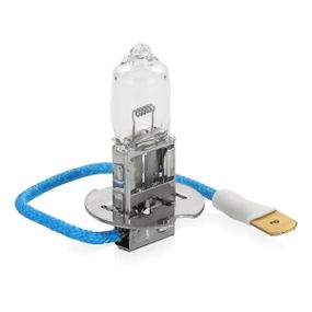 13628RAC1 (PHILIPS) H3 Rally 24V 100W PK22s