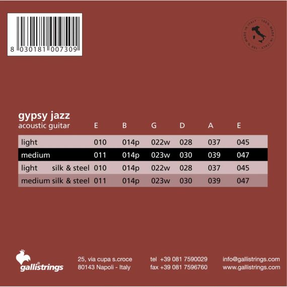 Струни для акустичної гітари Gallistrings GSB11 (.011, .047), GYPSY JAZZ MEDIUM, Silver | Зображення 1