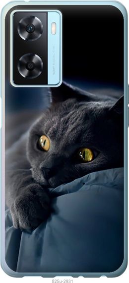 Чехол на Oppo A57s Дымчатый кот "825u-2931-17620"