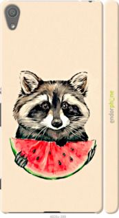 Чохол на Sony Xperia XA F3112 Єнотик з кавуном "4605m-399-2448"