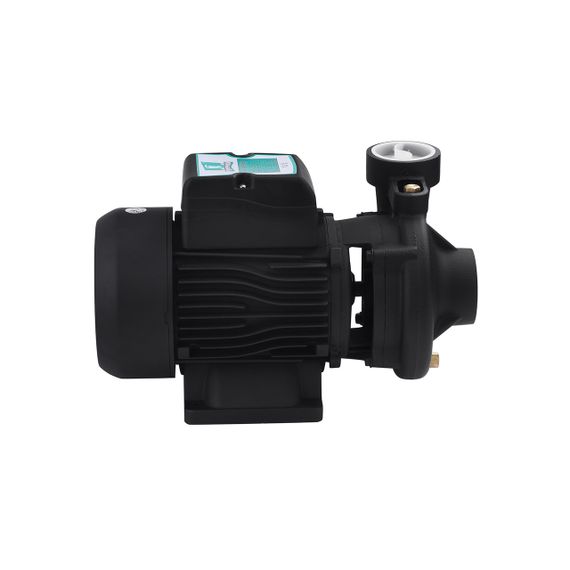 Насос поверхневий поливальний Pumpman 2DK20 Нmax 17 м Qmax 27 куб.м 2"х2" 1500 Вт | Зображення 2