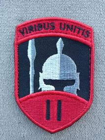 Шеврон 2 інтернаціональний легіон (кольоровий)