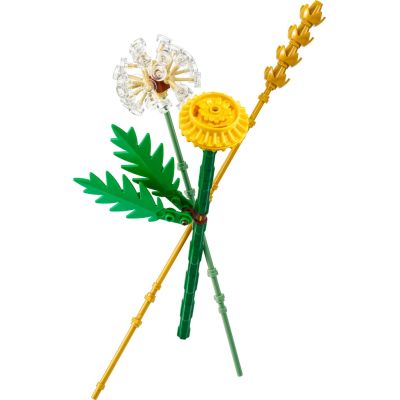 Конструктор LEGO Botanicals Польові квіти (30701) | Зображення 1