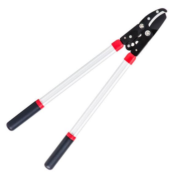 Гілкоріз садовий для обрізання гілок 730 мм. INTERTOOL FT-11121 | Зображення 1