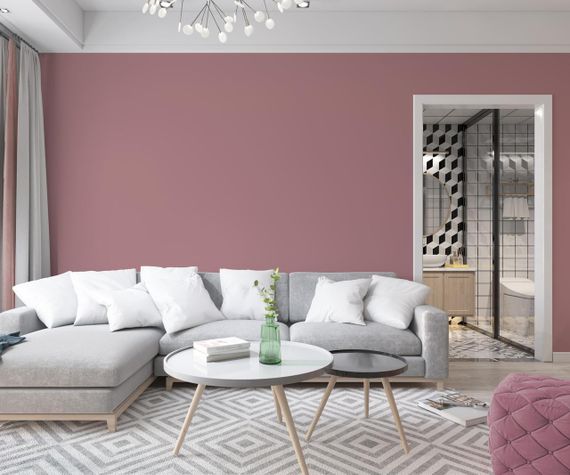 Фарба Інтер'єрна Латексна Skyline 3020-R Пудровий 5л | Зображення 2