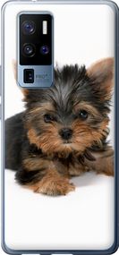 Чехол на Vivo X50 Pro Plus Щенок йоркширского терьера "931u-2056-17620"