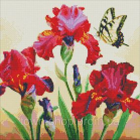 Алмазная мозаика "Изысканные ирисы" ©annasteshka AMO7650 40х40 см Идейка