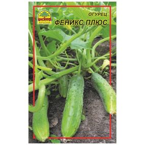 Насіння огірка Фенікс плюс 0,5 г (Насіння країни)