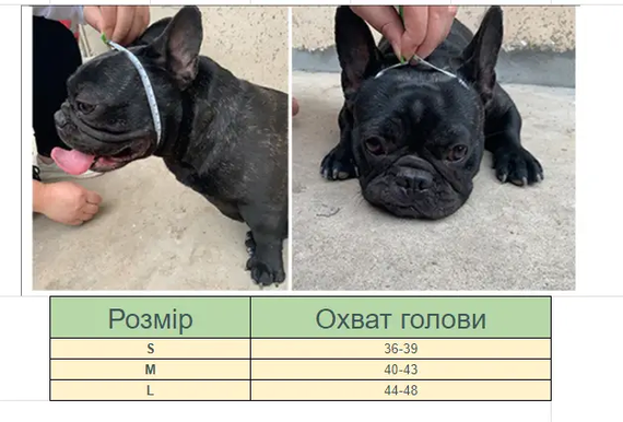 Намордник для собак брахіцефалів (намопсник) чорний S | Зображення 4
