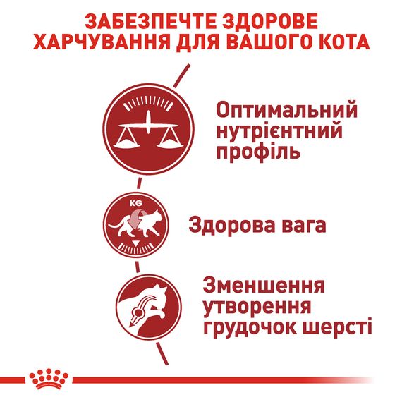 Сухий корм Royal Canin Fit 32 для дорослих котів від 1 року, які бувають на вулиці 4 кг | Зображення 2