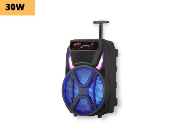 Портативна колонка XPRO MD13-12L  валіза 30Вт, USB, SD, FM радіо, Bluetooth, 1 мікрофон, ДК (MER-15728) | Зображення 1