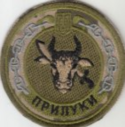 Шеврон Корабль Прилуки ВМС Украина | Зображення 2