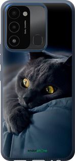 Чохол на Tecno Spark 8C KG5k Димчастий кіт "825u-2680-2448"