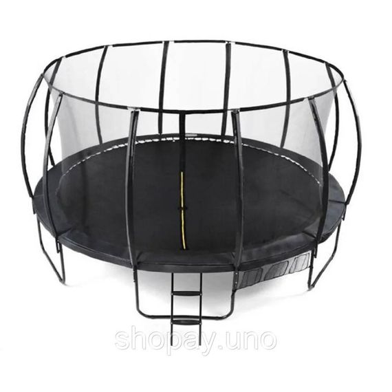 Батут TK‐Sport 244 см черный - пружинный садовый батут 8 ft с защитной сеткой и лестницей