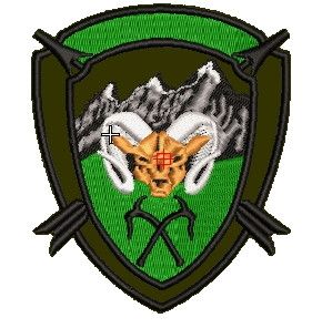 Шеврон Інструктор НАТО (без позивного)