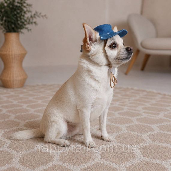 Панама для собак Pet Fashion Stars M синяя джинсовая — летний головной убор с отверстиями для ушей | Зображення 2