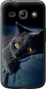 Чохол на Samsung Galaxy Core Plus G3500 Димчастий кіт "825u-359-2448"