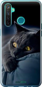 Чохол на Realme 5 Pro Димчастий кіт "825u-1861-2448"