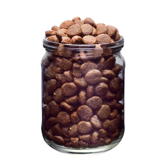 Корм сухий Brit Fresh Beef/Pumpkin Puppy Large для цуценят та молодих собак великих порід з яловичиною та гарбузом 2,5 кг | Зображення 1