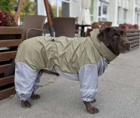 Дощовик для великих собак оливка MB-7