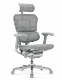 Кресло компьютерное ERGOHUMAN LUXURY 2 Gray (EHE2-AG-HAM-5D-L)
