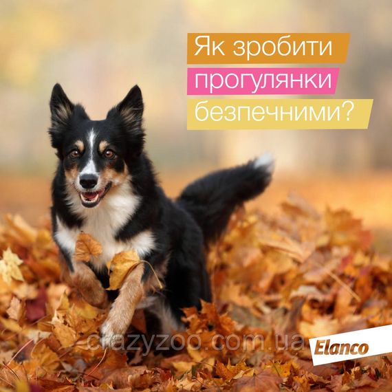 Таблетка против внешних и внутренних паразитов для собак Elanco Credelio Plus от 2.8 до 5.5 кг ЦЕНА ЗА 1 ШТ | Зображення 1