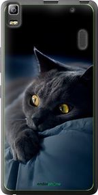 Чохол на Lenovo K3 Note K50-T5 Димчастий кіт "825u-141-2448"