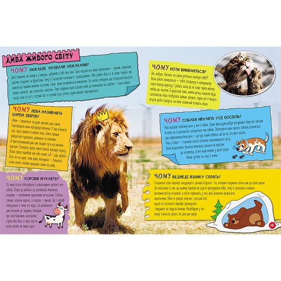 Енциклопедія у питаннях та відповідях "100 відповідей на запитання ЧОМУ?" 880003 | Зображення 1