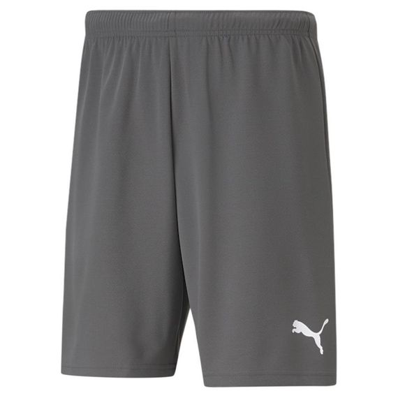 Шорти спортивні чоловічі Puma teamRISE Short 704942 13 (темно-сірий, без підкладки, без кишенями, бренд пуху) L (52-54)
