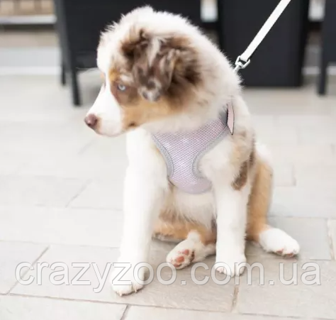 Шлейка для собак Ferplast NIKITA P XXS Блакитно-Сіра 22-33 см 75468610 | Зображення 2