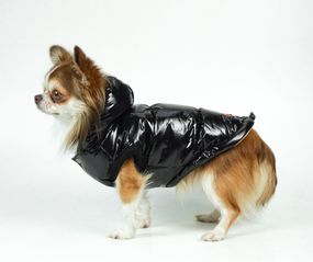 Жилет лакований чорний G-52