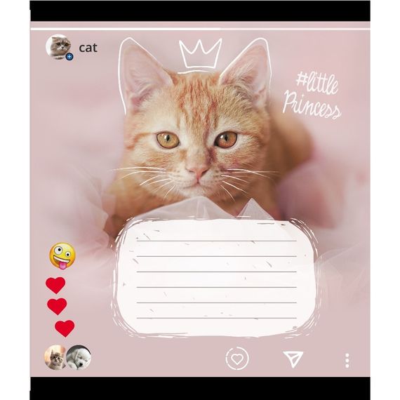 Зошит учнівський "Кішка" 024-550351K-2 в клітинку, 24 аркуші