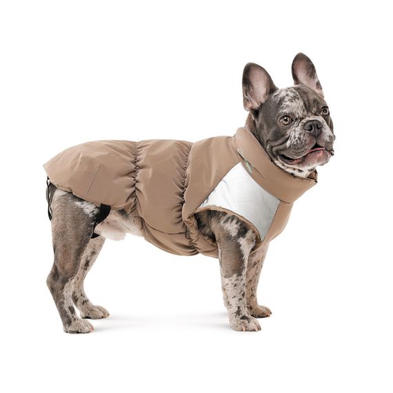 Жилет Chip для собак такса M | Зображення 3