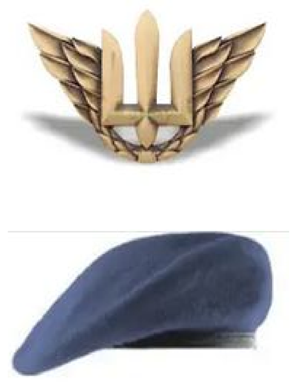 Берет + кокарда "Водушні сили"