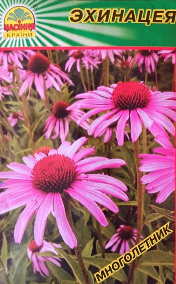 Насіння Ехінацея 0.5 г | Зображення 2